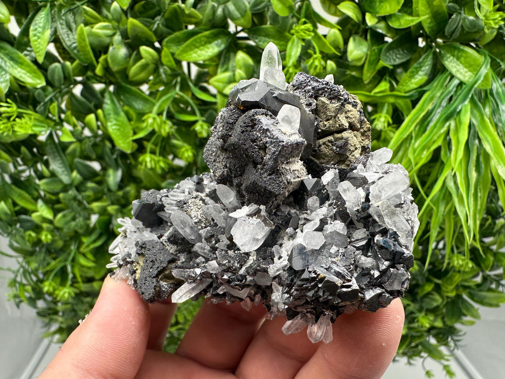 Wonderful Sphalerite Chalcopyrite on  Quartz whit Galena feom 9 th September mine,Bulgaria,natural,collection mineral specimen,gift