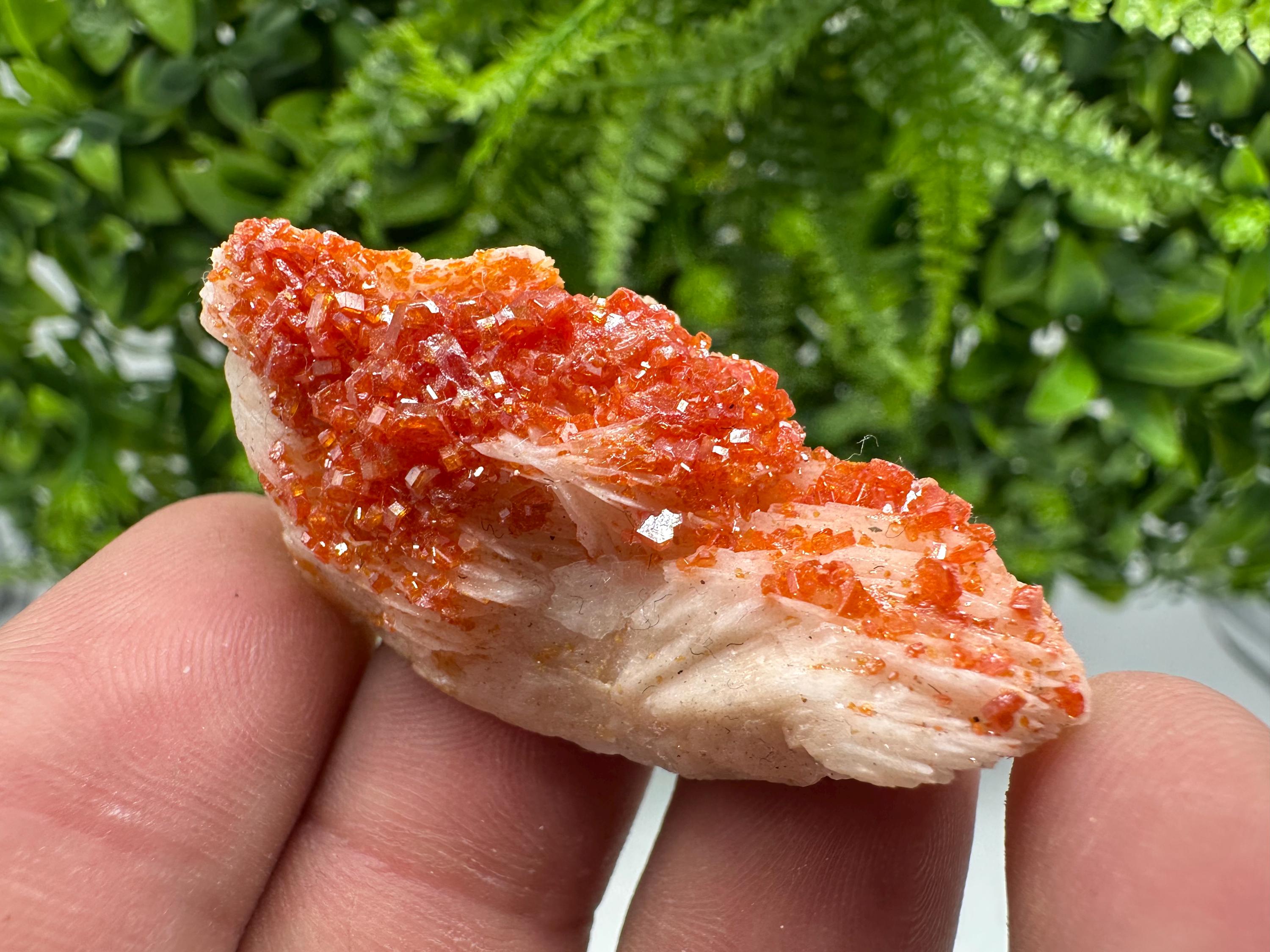 Red Vanadinite on Barite from Marocco,crystal minerals Speciment cluster Vanadinite crystal Vanadinite Geology Vanadinite cluster minerals
