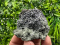 Skeletal Galena on Chlorite Matrix, Borieva Mine Mineral Specimen