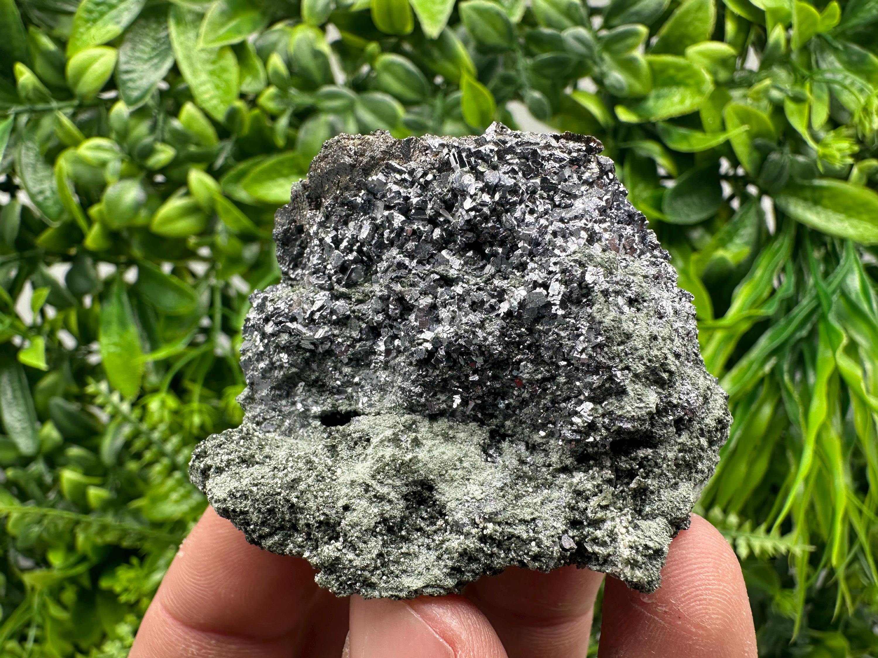 Skeletal Galena on Chlorite Matrix, Borieva Mine Mineral Specimen