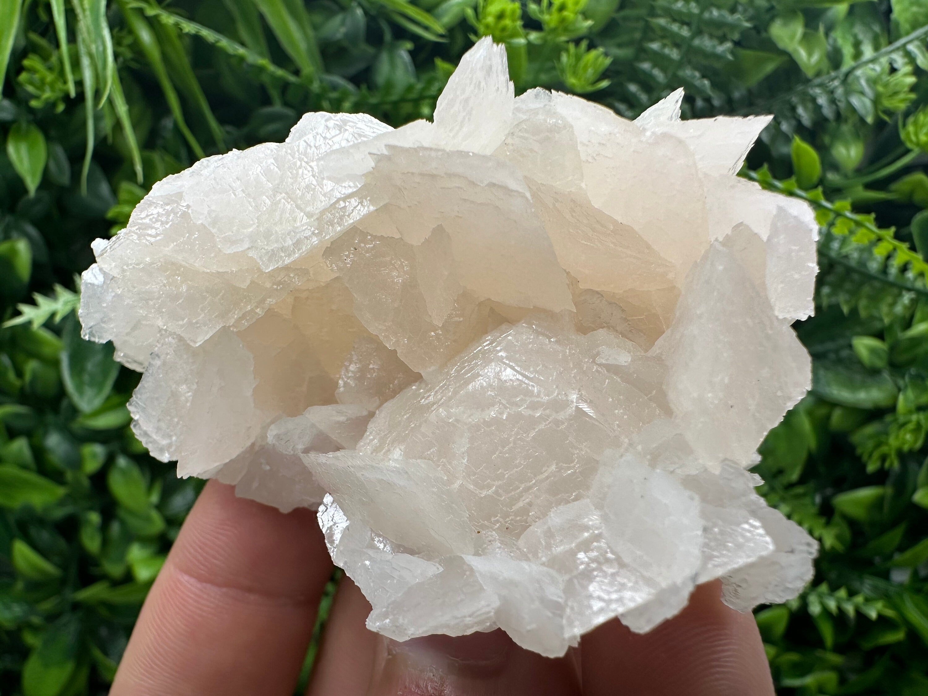 Rare Mangano Calcite Cluster: Borieva Mine, Bulgaria