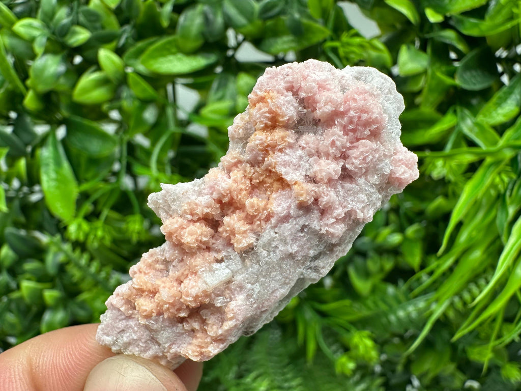 Rhodochrosite on Quartz Specimen, Starnica Mine, Bulgaria