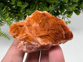 Wonderful Baryte with Cerussite on Galena from Morocco,Crystal, Mineral,Specimen,Cluster,Crystals,Barite Crystal,Cerussite Crystal,Specimen