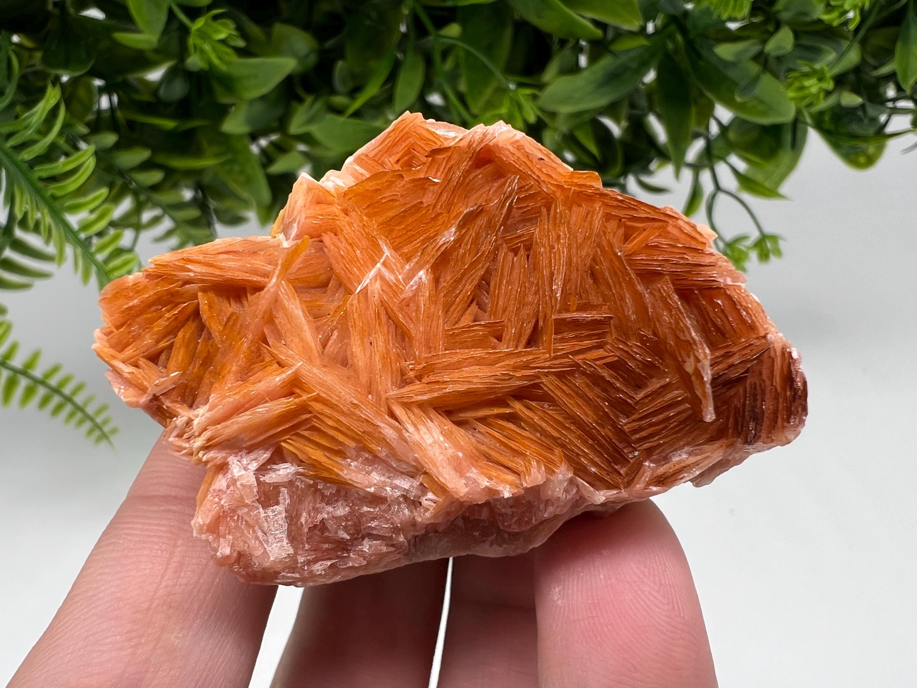 Wonderful Baryte with Cerussite on Galena from Morocco,Crystal, Mineral,Specimen,Cluster,Crystals,Barite Crystal,Cerussite Crystal,Specimen