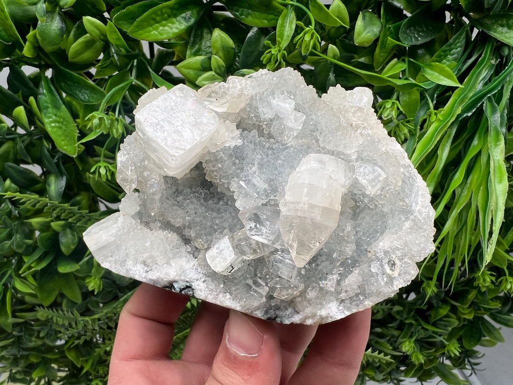 Apophyllite on Chalcedony Specimen: Transparent Crystal, India Minerals