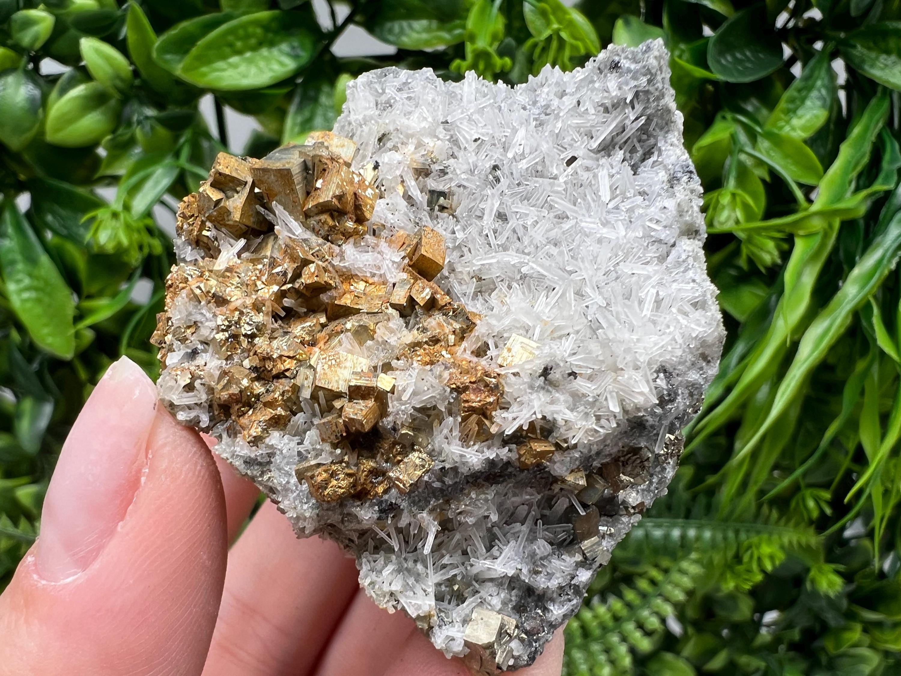 Pyrite on Green Quartz Mineral Specimen, Borieva Bulgaria
