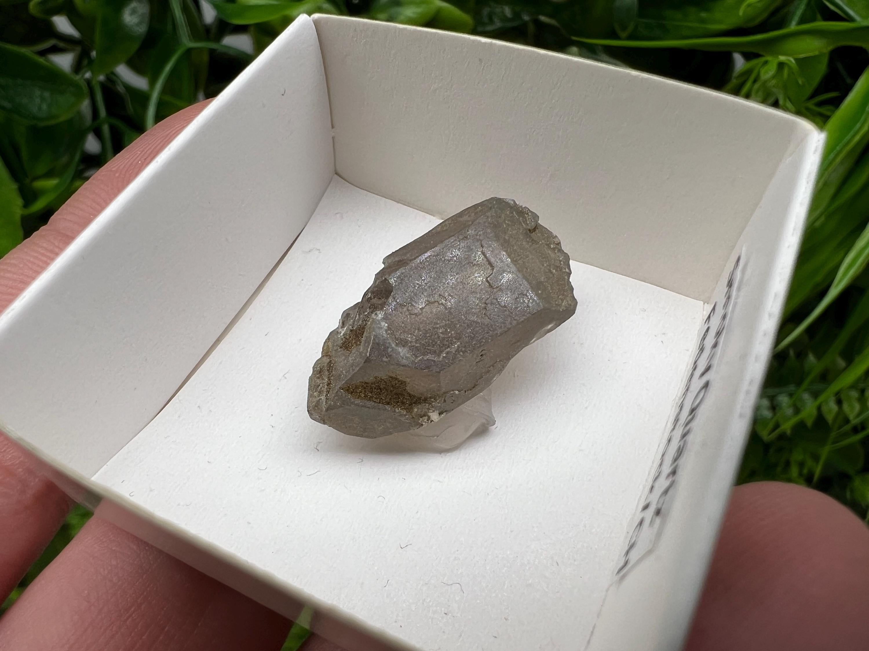 Rare Smoky Quartz Point, Fedenstock Switzerland Mineral Specimen (25MM)