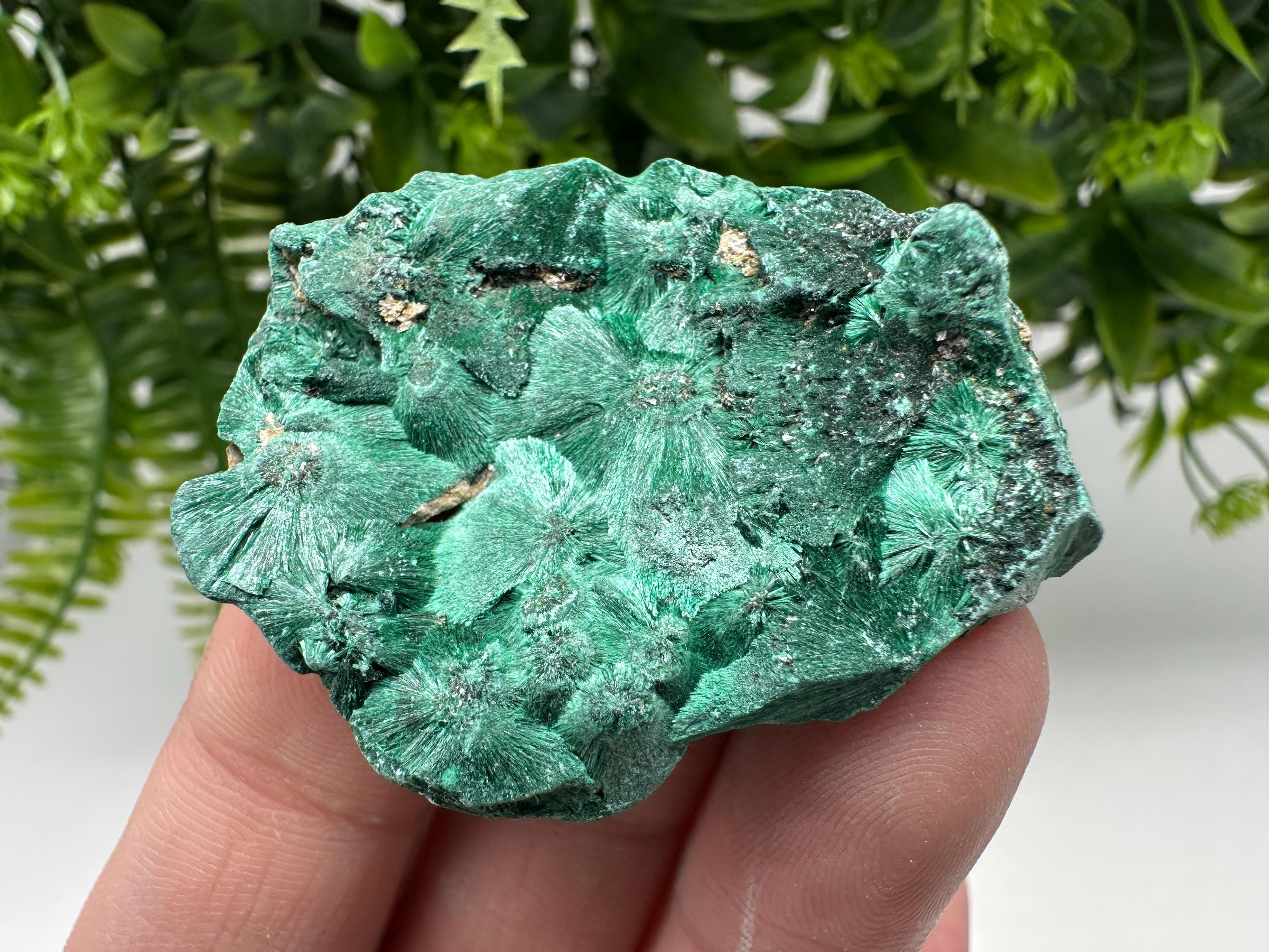 Polished Malachite Crystal from Congo, Green Specimen, Chakra Mineral Stone