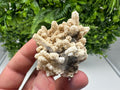 Quartz Calcite Chalcopyrite Specimen: Krushev Dol Mine, Bulgaria