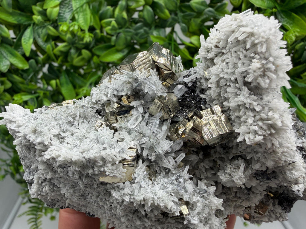 Pyrite Sphalerite Quartz  Mineral Specimen, Krushev dol Mine