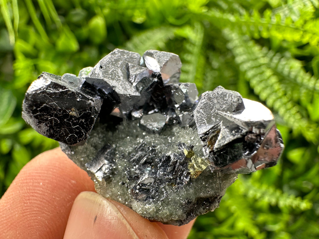Galena Chalcopyrite on Quartz: Crystal Mineral Specimen, Borieva Mine