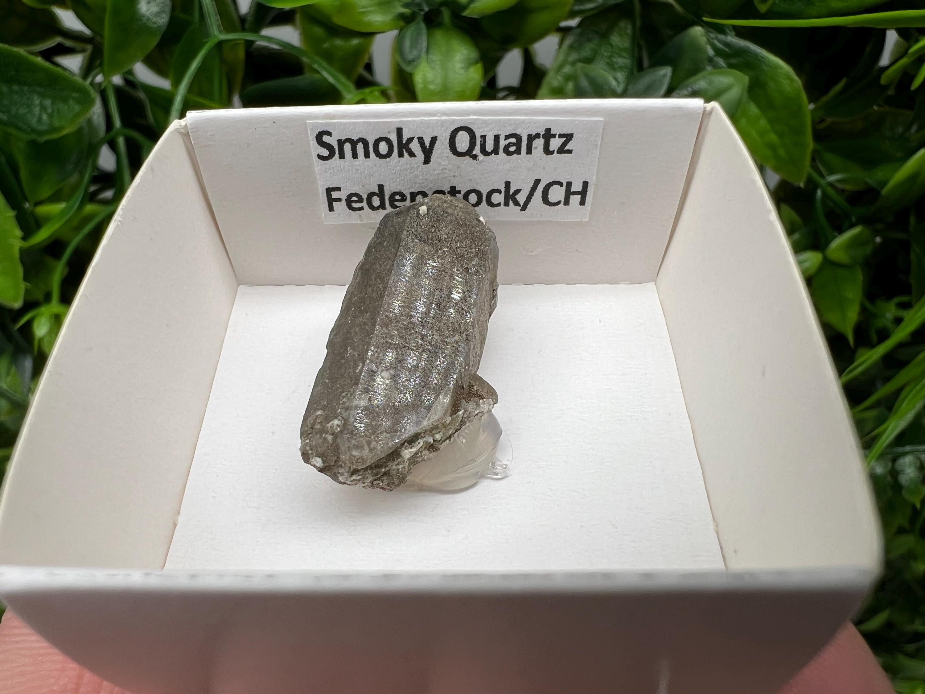 Rare Smoky Quartz Point from Fedenstock Switzerland (30 MM)
