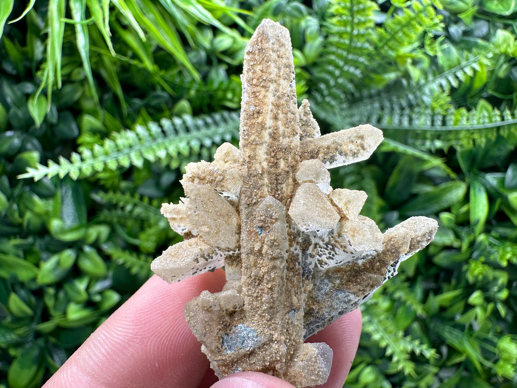 Quartz Rhodochrosite Cluster, Djurcovo Mine Mineral Specimen