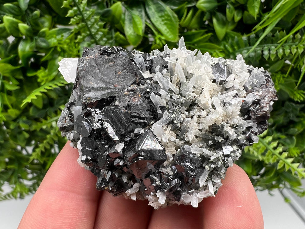 Wonderful Sphalerite,Quartz on Chlorite matrix,from Borieva mine,Madan,Bulgaria,natural collection mineral specimen,rare crystal,home decor