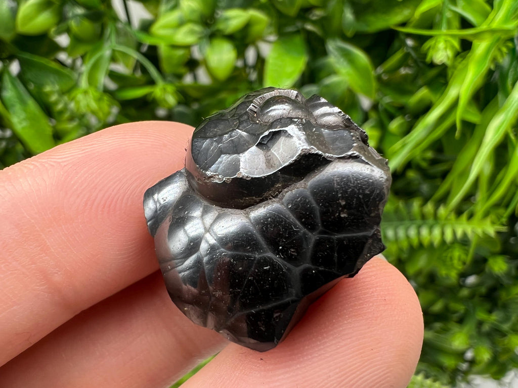 Botryoidal Black Hematite Specimen: Moroccan Crystal, Chakra Reiki