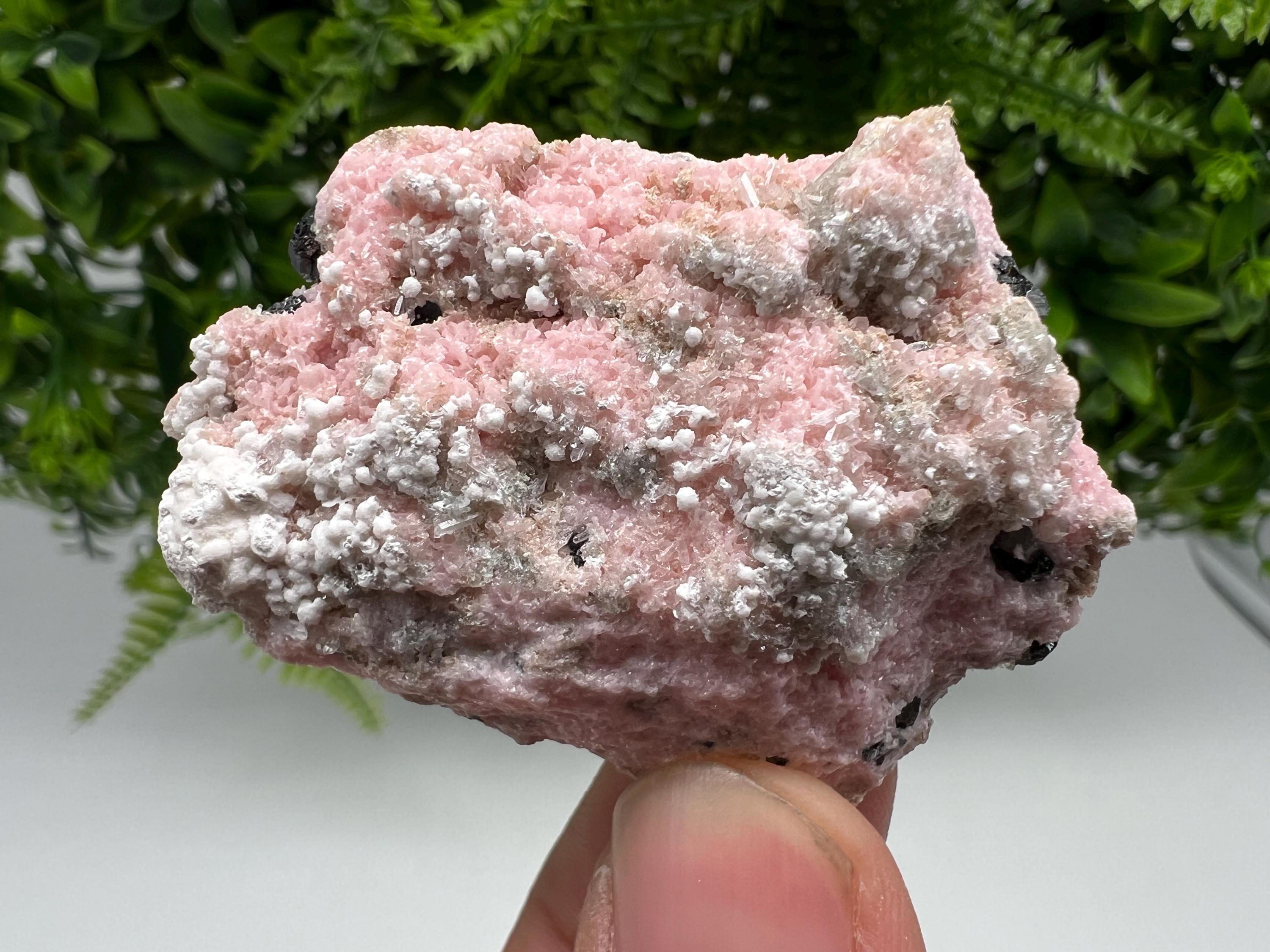 RARE Rhodochrosite with White Calcite, Starnica Mine, Bulgaria