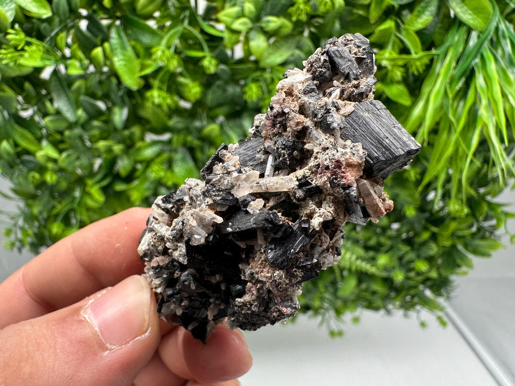 Rare Tourmaline,Rubellite from Vitosha Mountain,Bulgaria,Large Black Tourmaline,Rubellite,mineral specimen,collection,collections Tourmaline