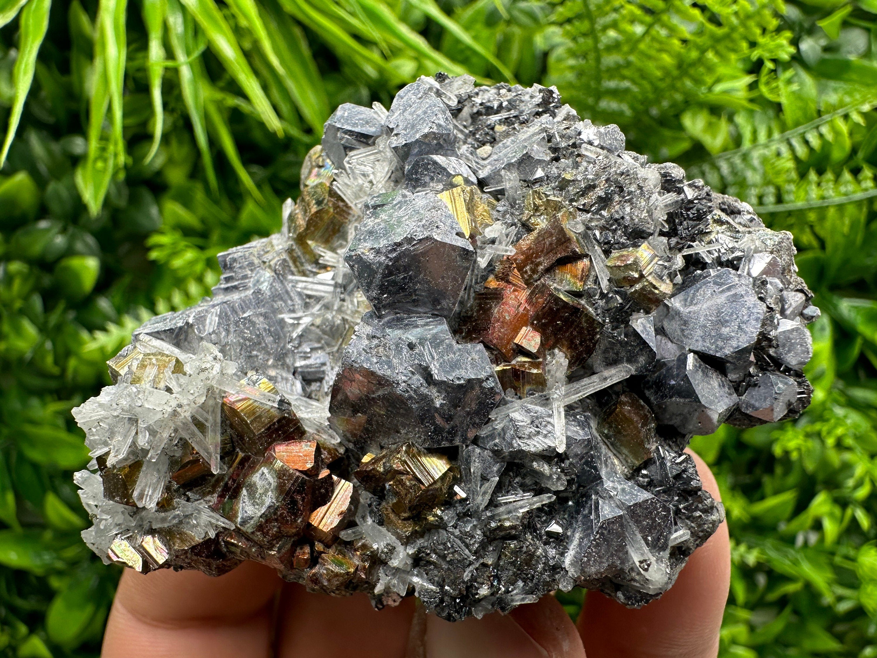Red Pyrite, Galena, Sphalerite & Quartz Crystal Cluster - Borieva Mine