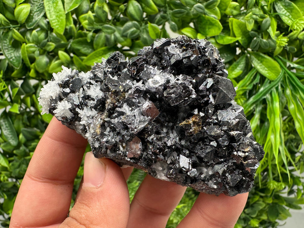 Wonderful Sphalerite on Quartz,From Borieva mine,Bulgaria,natural mineral,collection crystal,home decor stone,rare cluster,gift,souvenir