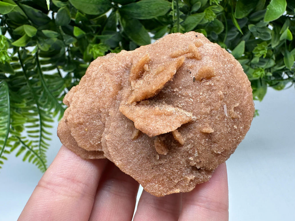 Natural Desert Rose Crystal – Root Chakra Healing Selenite Stone