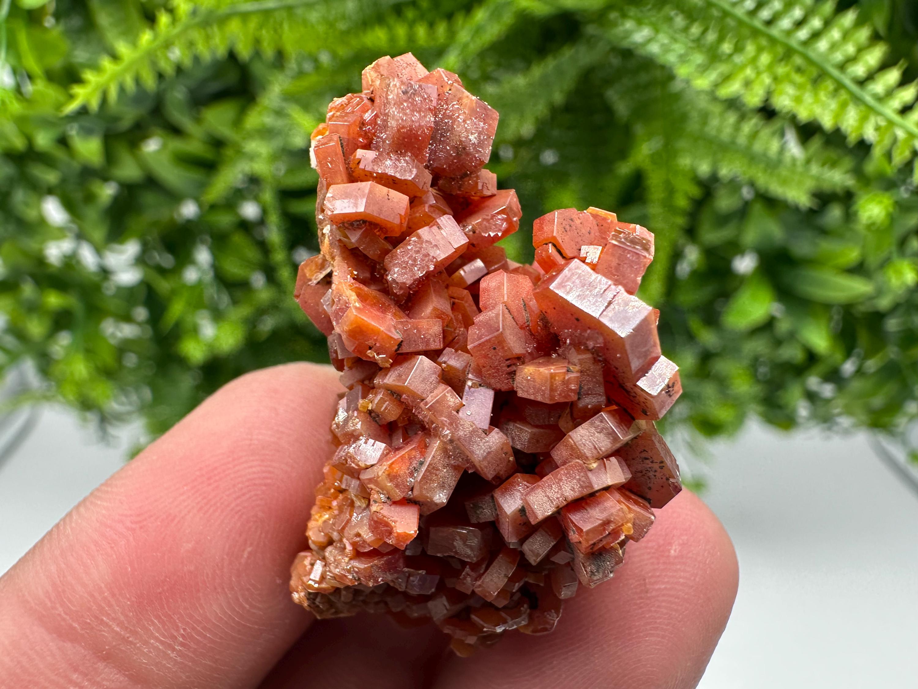 Red Vanadinite on Barite from Marocco,crystal minerals Speciment cluster Vanadinite crystal Vanadinite Geology Vanadinite cluster minerals