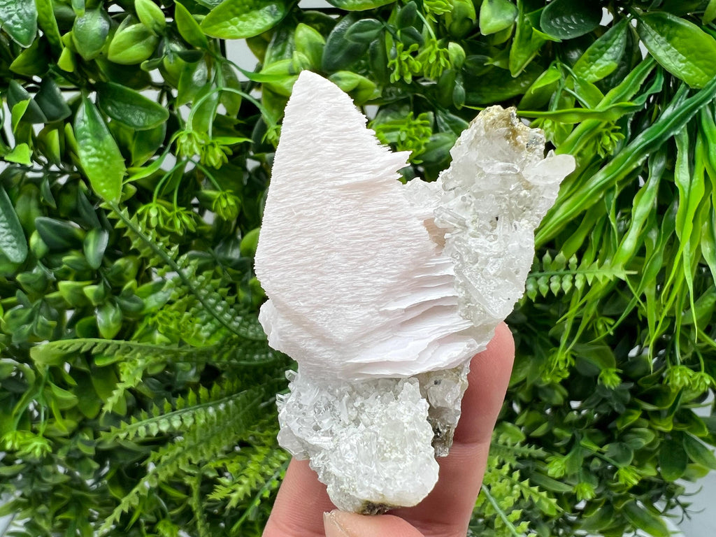 Incredible UV Mangano Calcite on Quartz from Borieva mine,Madan,Bulgaria,natural,collectible mineral specimen,home decor stone,crystal,gift