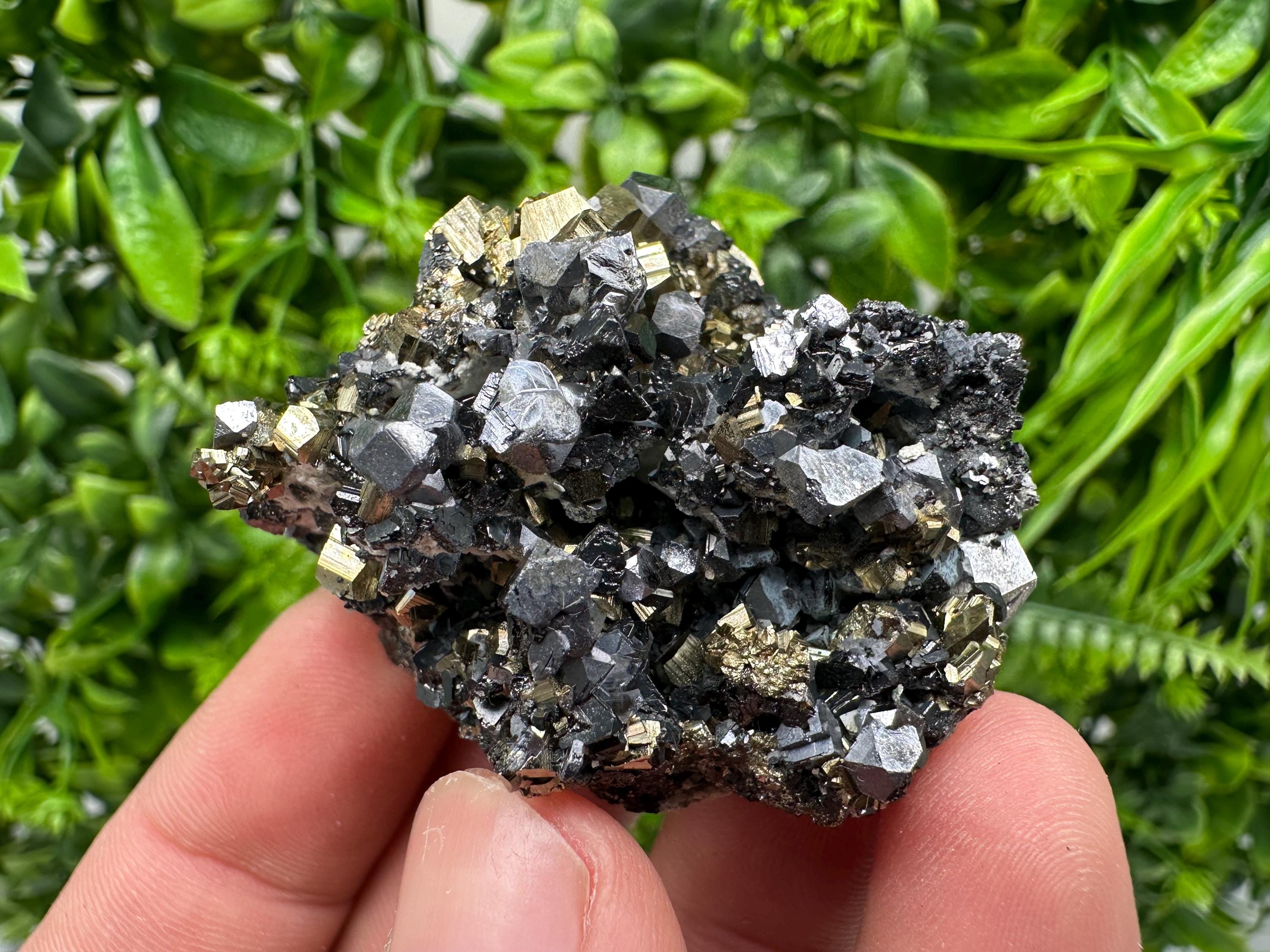 Galena on Pyrite Mineral Specimen, Borieva Mine, Bulgaria