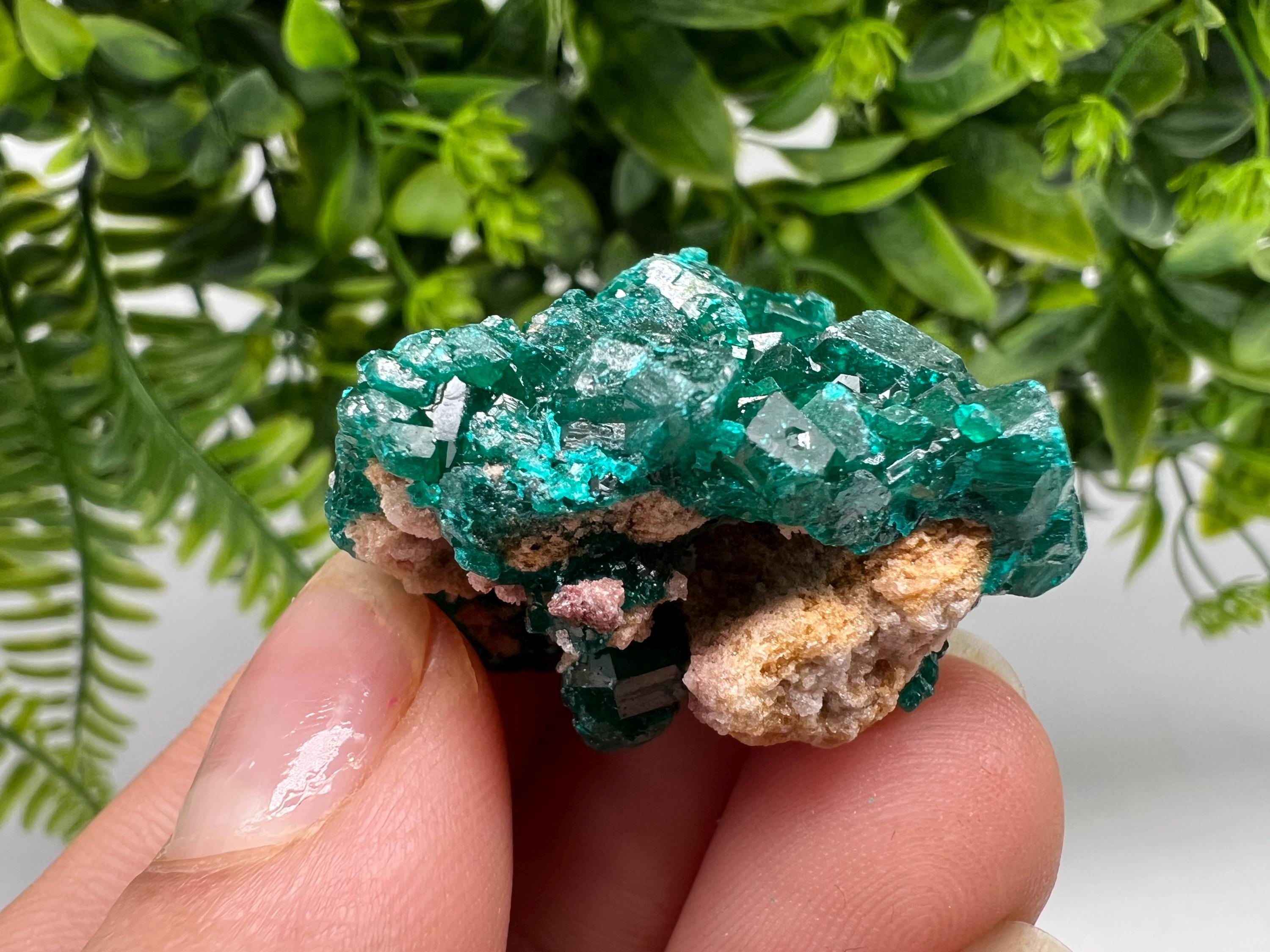 Stunning Green Dioptase from Sanda Hills,Mindouli,Pool Department,Mindouli District,Congo,green Dioptase,Dioptas Crystal,Dioptase collecting