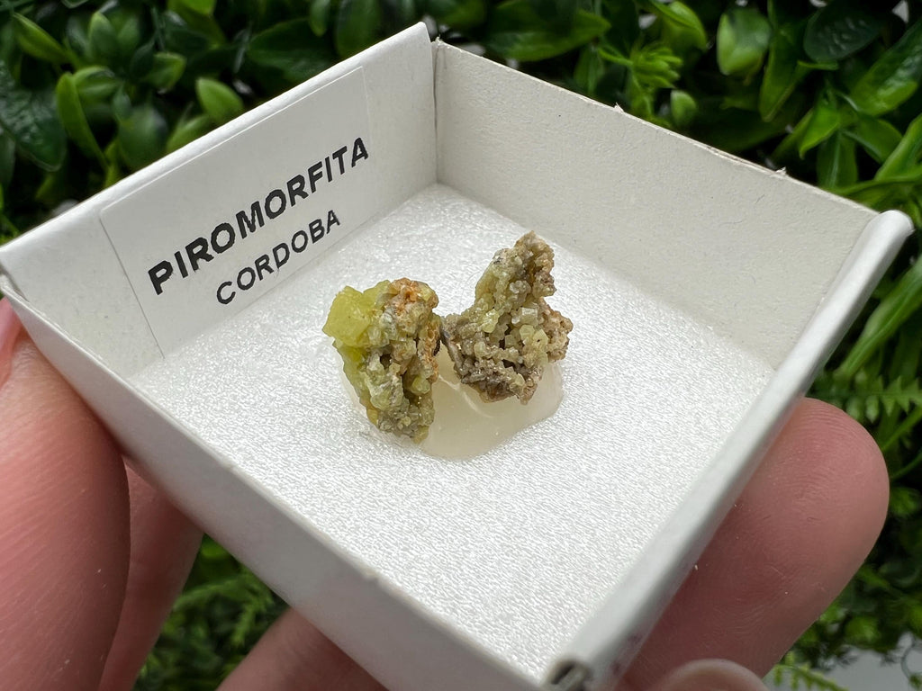 Pyromorphite Stone / Pyromorphite on Matrix / Pyromorphite Crystal / Raw Crystal / Pyromorphite Cluster / Rough Pyromorphite / Pyromorphite