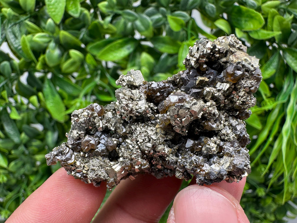 Sphalerite GEM Cleiopfane on Pyrite, Rare Crystal Mineral Stone