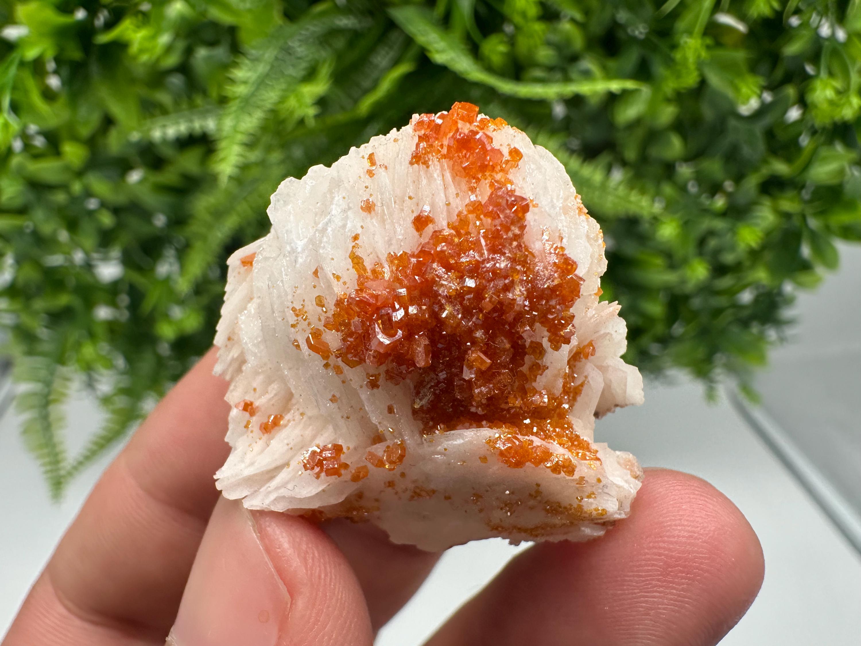 Red Vanadinite on Barite from Marocco,crystal minerals Speciment cluster Vanadinite crystal Vanadinite Geology Vanadinite cluster minerals