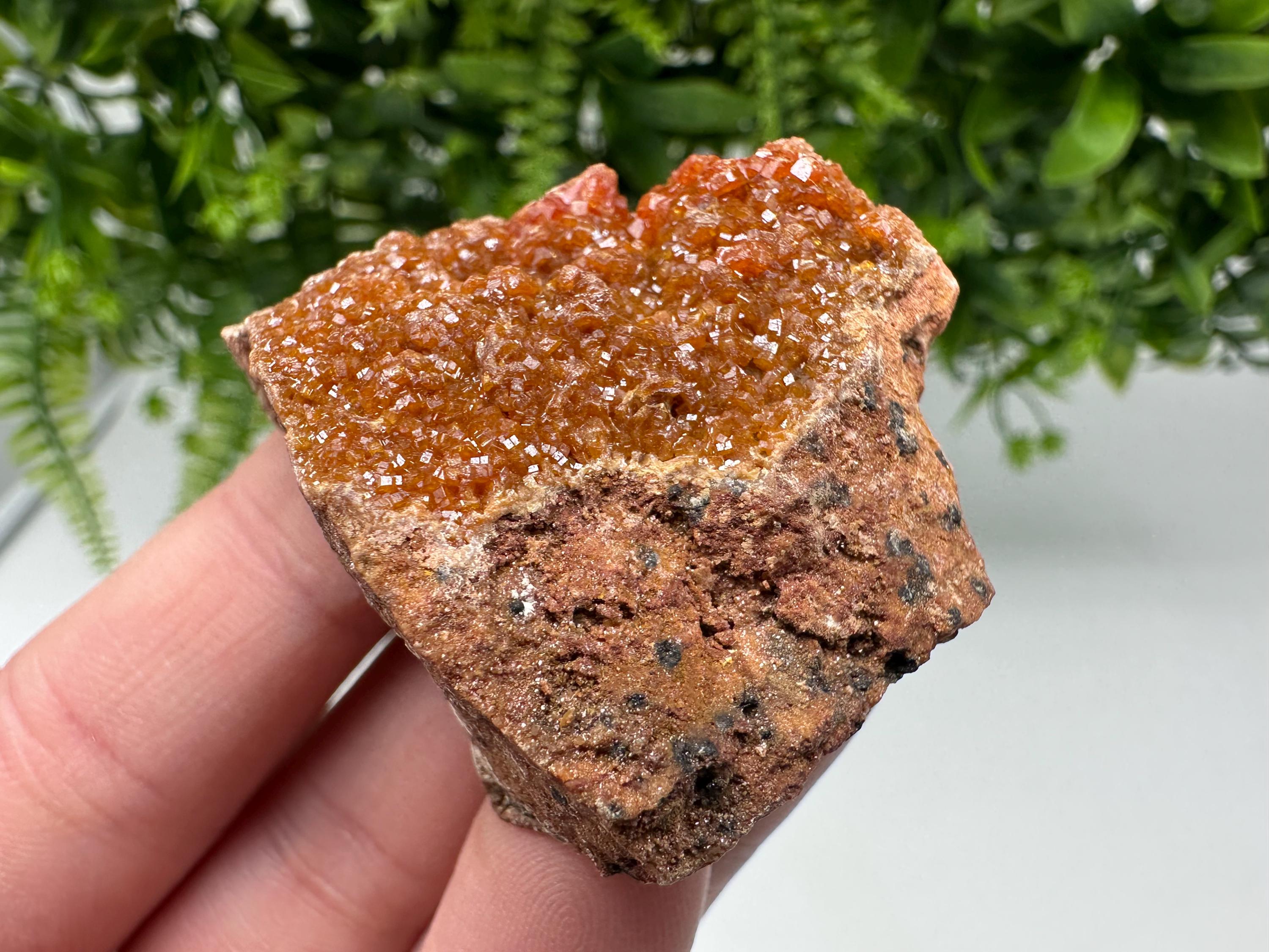 Red Vanadinite on Matrix from Marocco,crystal minerals Speciment cluster Vanadinite crystal Vanadinite Geology Vanadinite cluster minerals