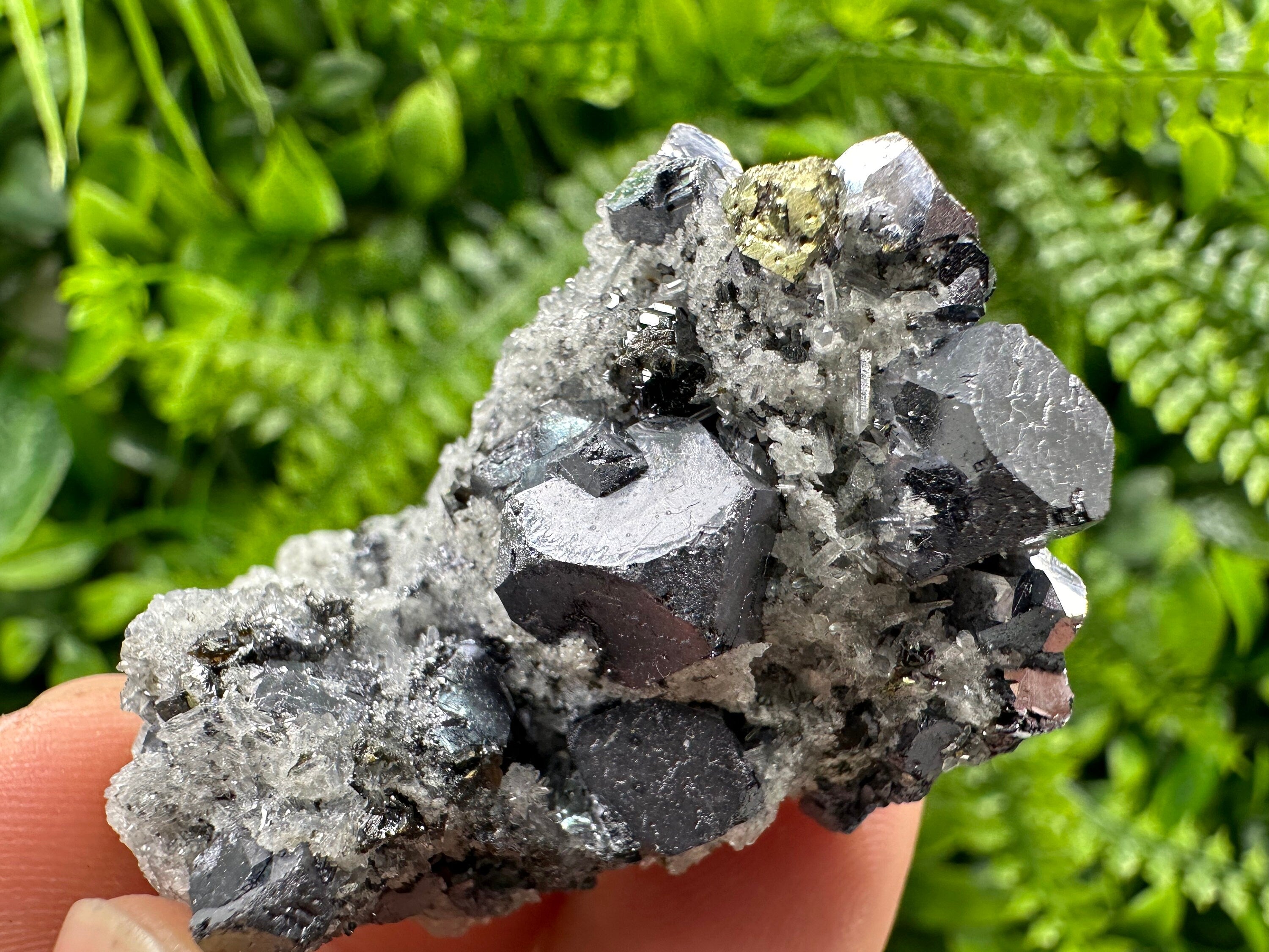 Galena Chalcopyrite on Quartz, Crystal Home Decor, Borieva Mine Bulgaria