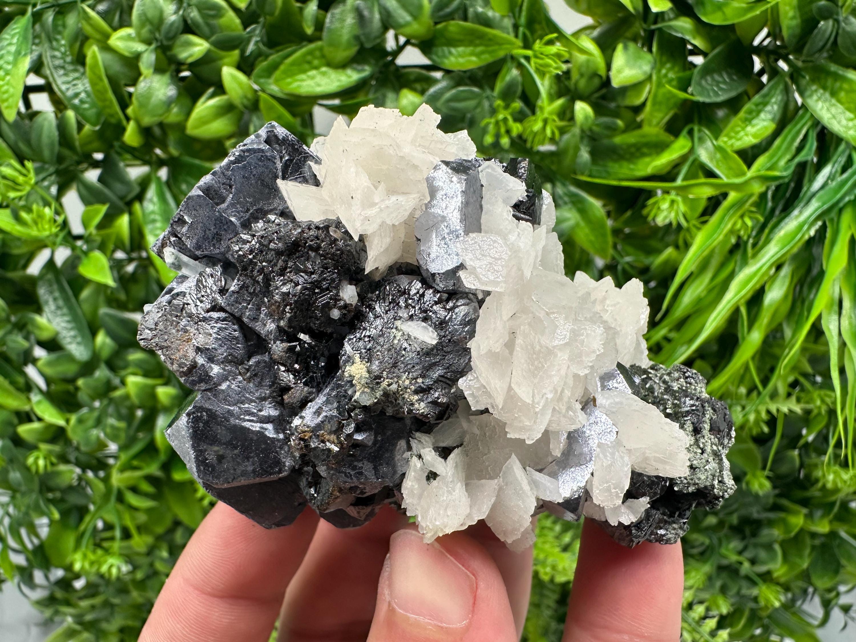 Mirror Galena, Sphalerite, Calcite Mineral Specimen: Borieva Mine, Bulgaria
