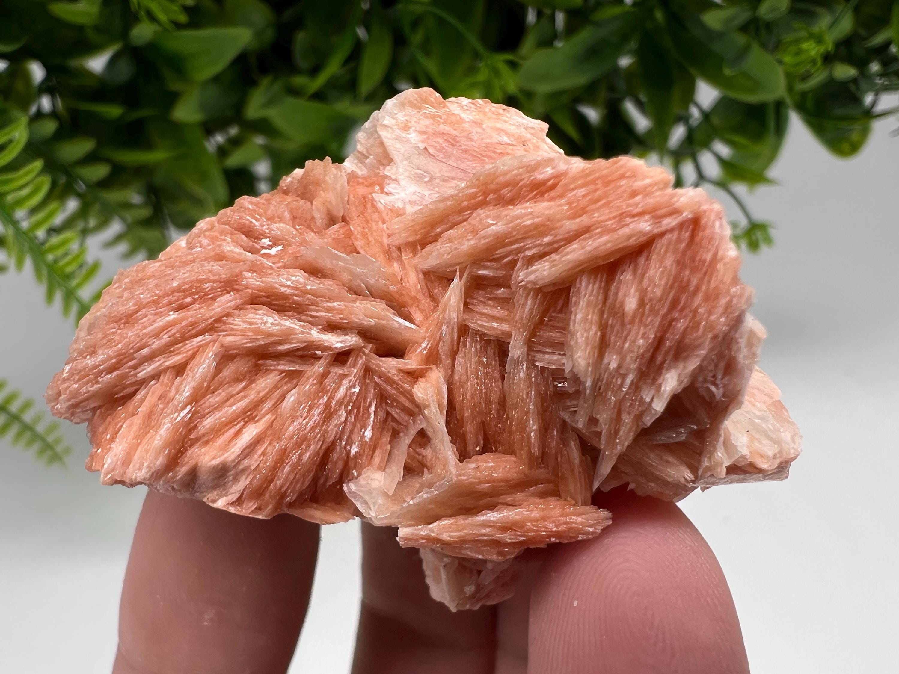 Wonderful Baryte with Cerussite on Galena from Morocco,Crystal, Mineral,Specimen,Cluster,Crystals,Barite Crystal,Cerussite Crystal,Specimen