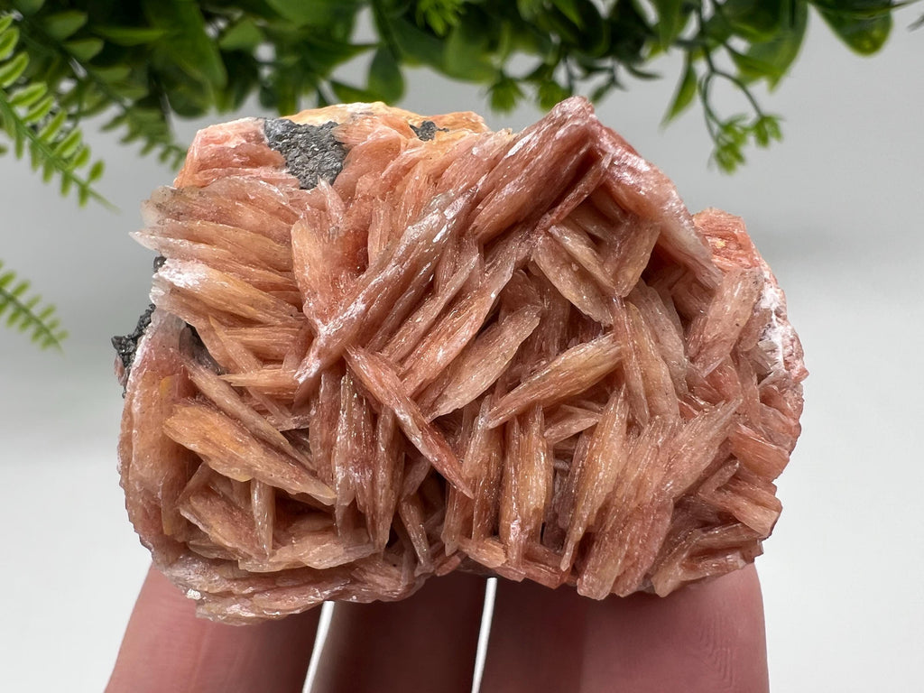 Wonderful Baryte with Cerussite on Galena from Morocco,Crystal, Mineral,Specimen,Cluster,Crystals,Barite Crystal,Cerussite Crystal,Specimen