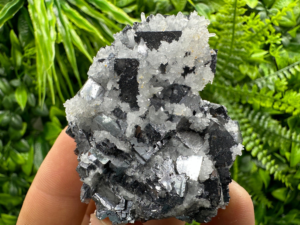 Galena with Quartz Crystal: Natural Mineral Specimen, Bulgaria