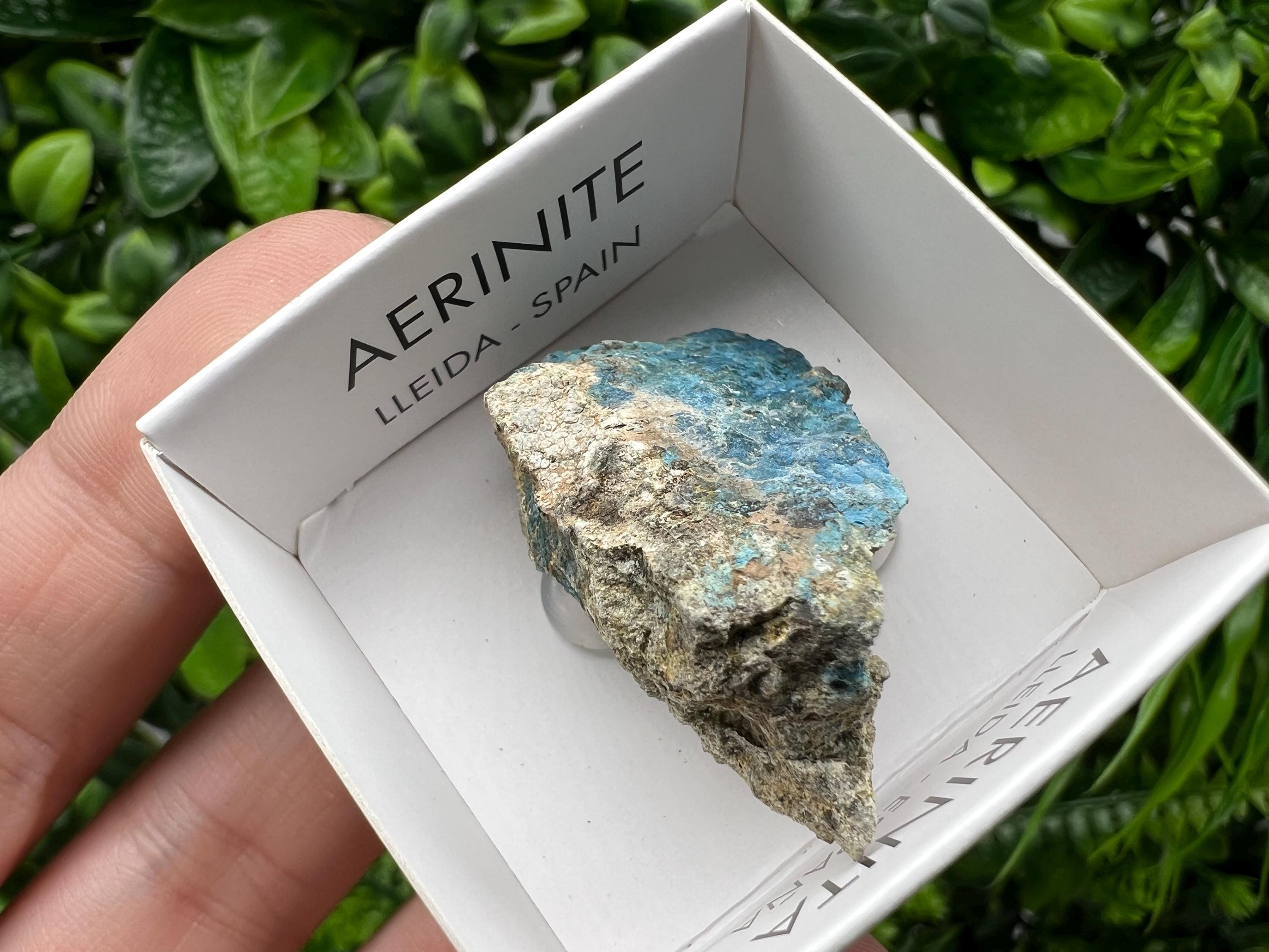 Rare Raw Aerinite Mineral Specimen: Lleida, Spain Crystal Collection