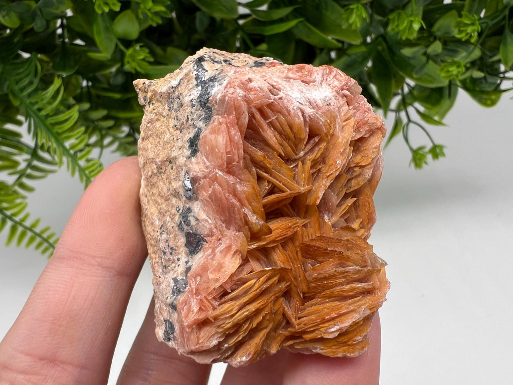Moroccan Baryte Cluster with Cerussite on Galena