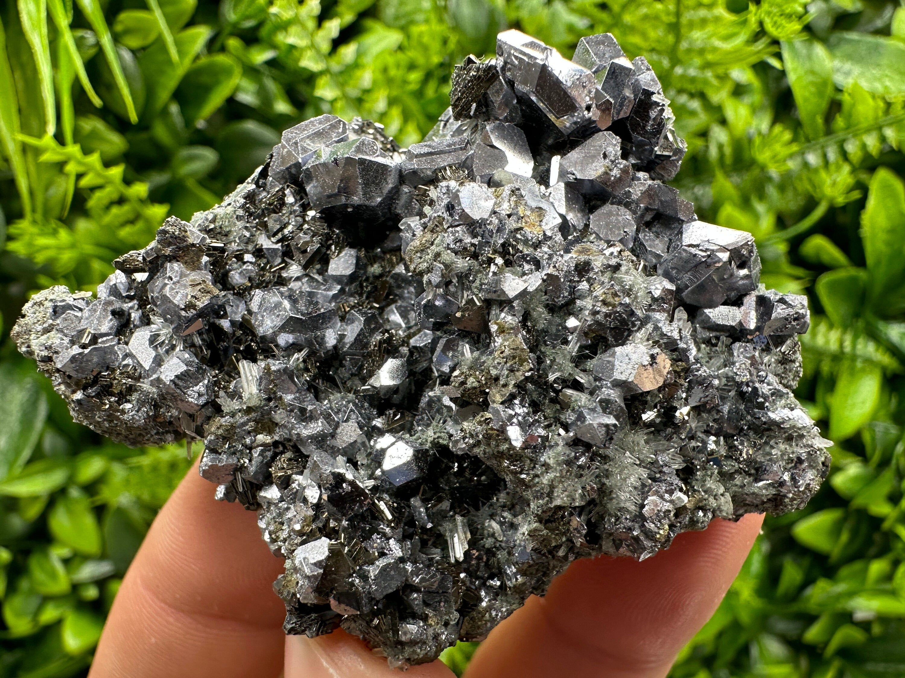 Skeletal Galena on Needle Quartz, Borieva Mine, Bulgaria