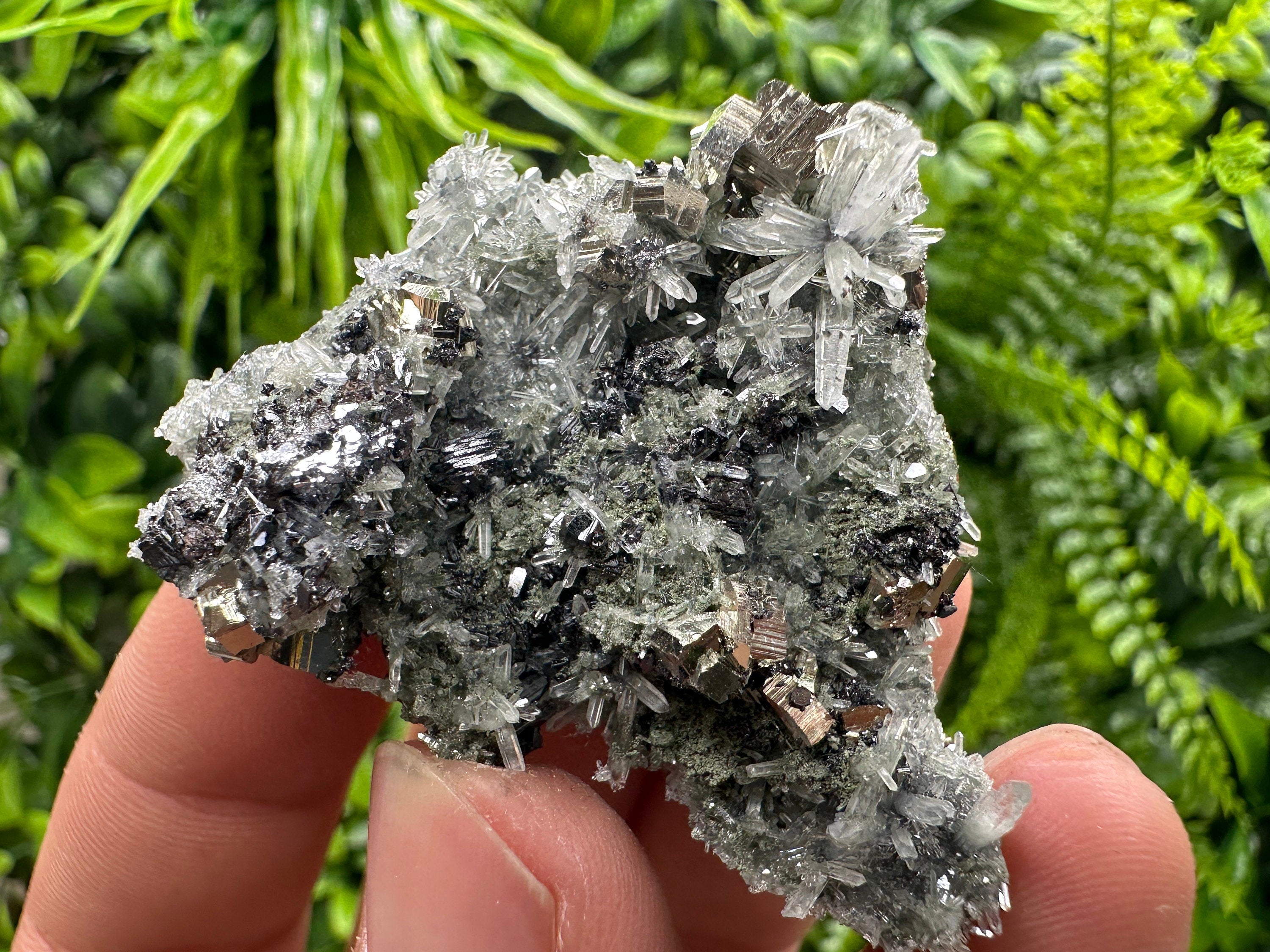 Pyrite Sphalerite Galena on Quartz: Bulgaria Borieva Mine Crystal Cluster
