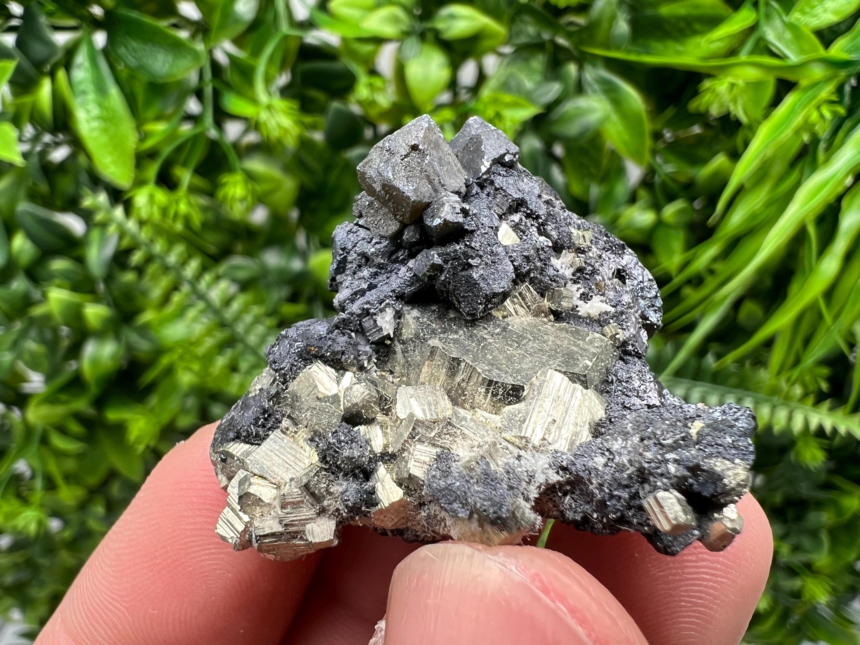 Golden Pyrite,Sphalerite from 9th September mine,Madan,Bulgaria,natural,collectible mineral specimen,home decor crystal,Pyrite cluster,