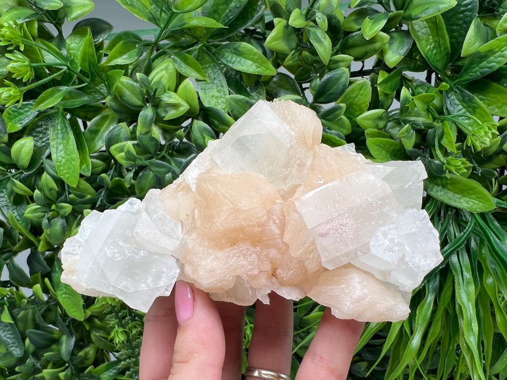 Apophyllite Stilbite on Chalcedony: Natural Mineral Specimen, India