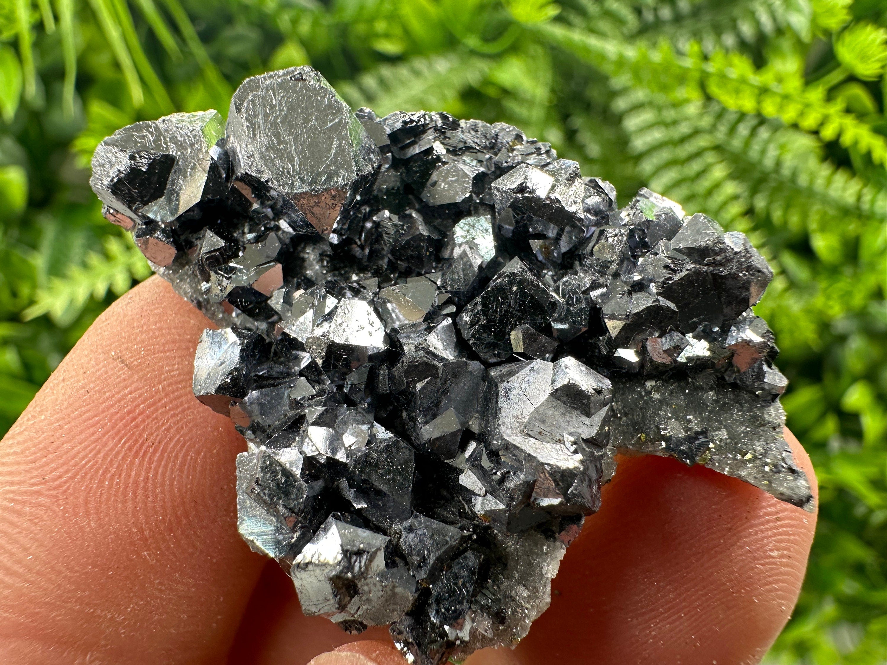 Shiny Galena on Quartz, Borieva Mine Bulgaria