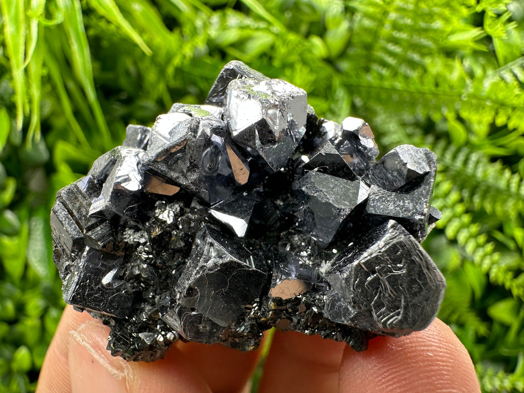 Galena on Sphalerite Specimen - Borieva Mine, Bulgaria
