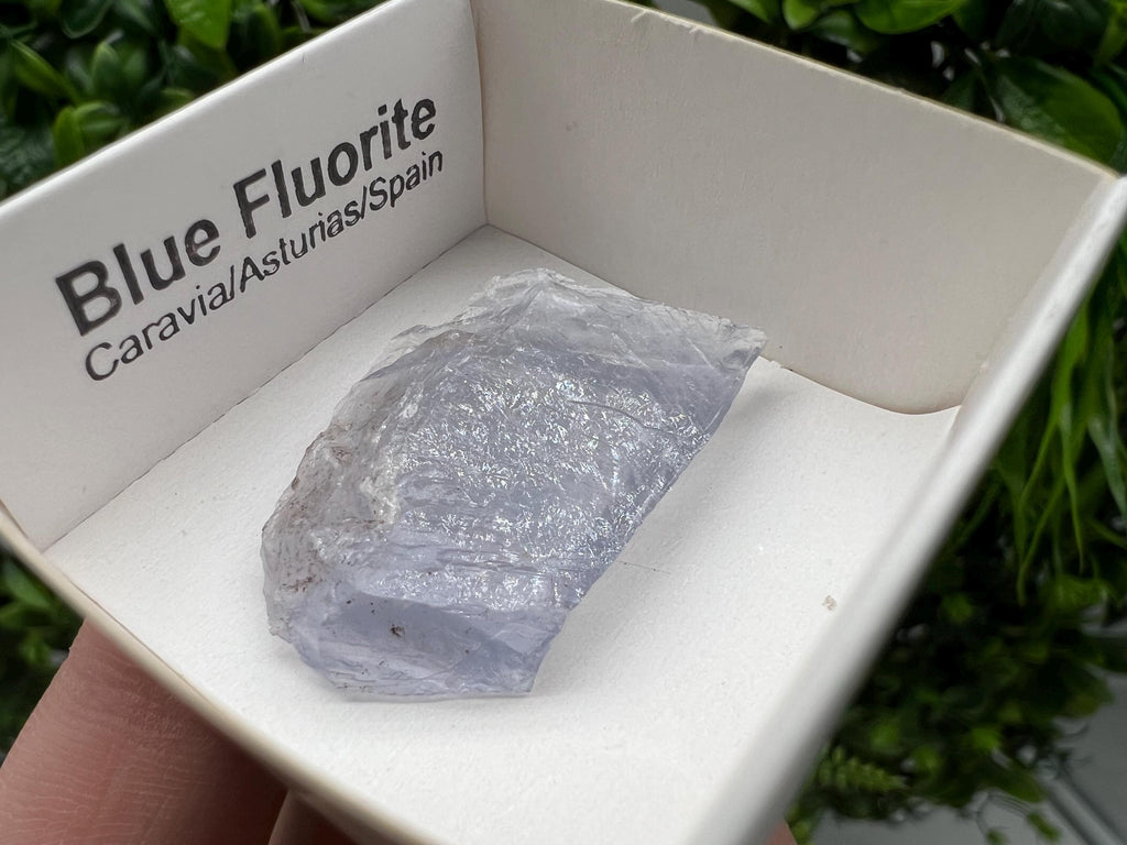 Blue Fluorite Mineral Specimen: Spain Collection (3.5/2.5 cm)