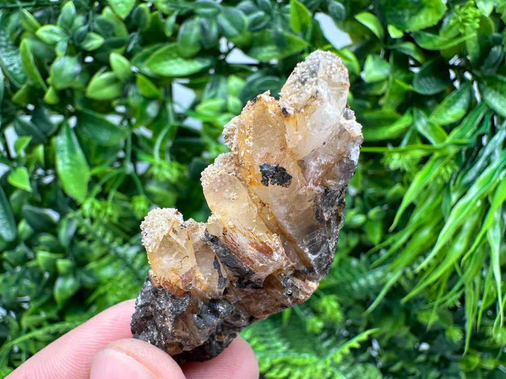 Rare Green/Yellow Pyromorphite & Hematite on Quartz - Madjarovo Mine, Bulgaria