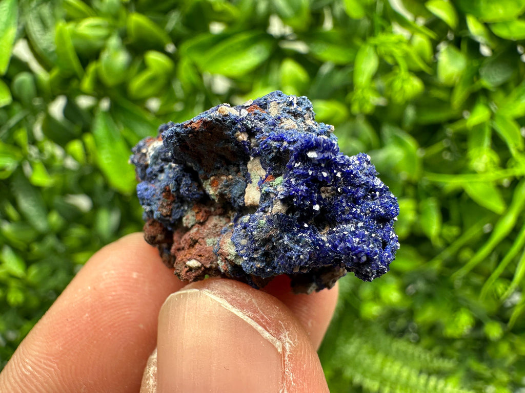 Crystallized Azurite-Kerrouchen,Morocco-Blue Azurite Specimen-High Quality Blue Azurite-Azurite Mineral Specimen, gemmy,lustrous of Azurite