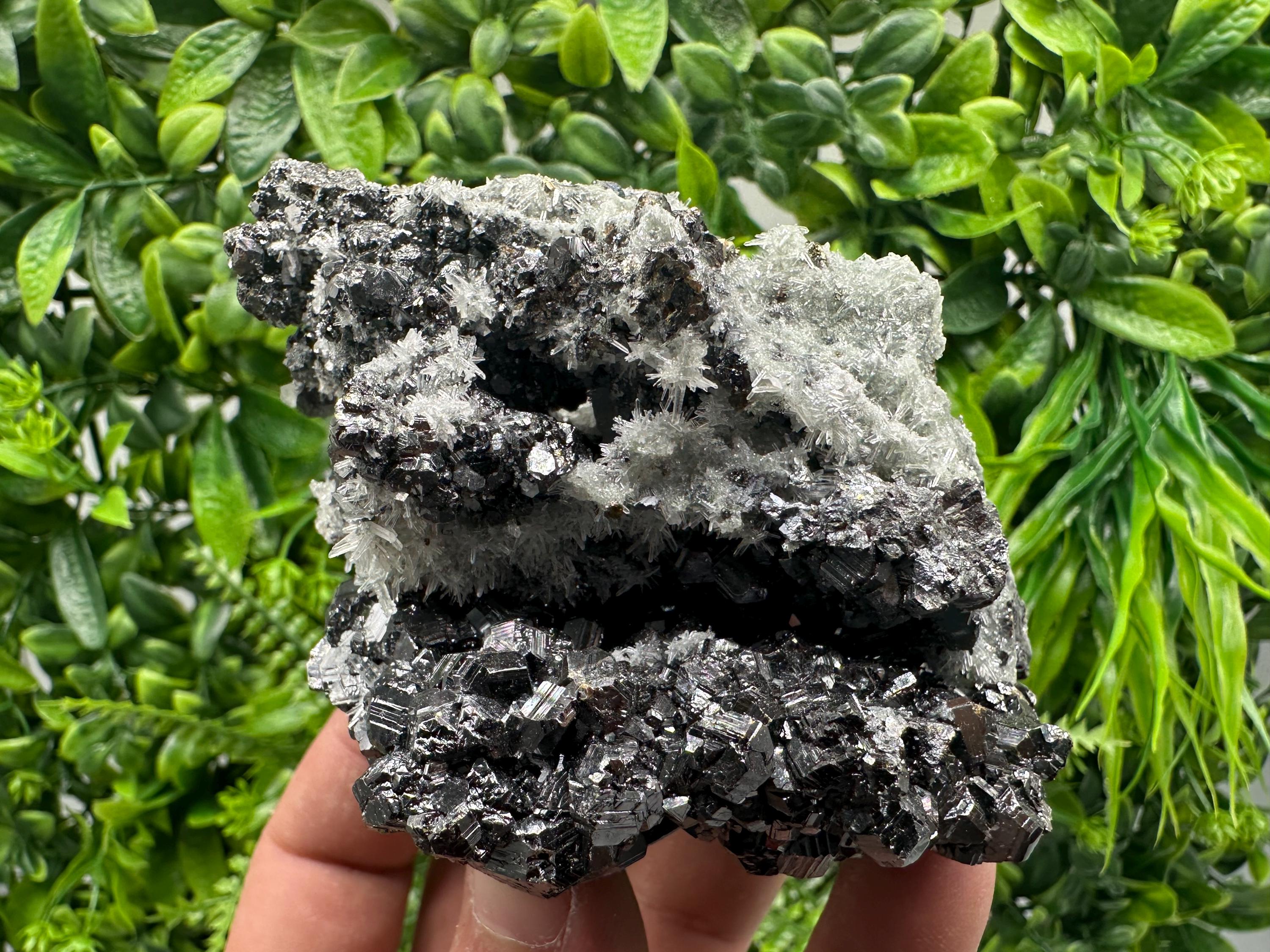 Sphalerite on Green Quartz, Borieva Mine Mineral Specimen