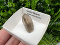 Rare Fedenstock Smoky Quartz Point, Switzerland Mineral Specimen (25MM)